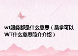 wt服务都是什么意思（桑拿可以WT什么意思简介介绍）