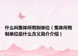 什么叫集体所有制单位（集体所有制单位是什么含义简介介绍）