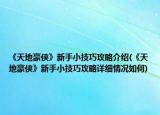 《天地豪侠》新手小技巧攻略介绍(《天地豪侠》新手小技巧攻略详细情况如何)