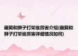 藏獒和狮子打架谁厉害介绍(藏獒和狮子打架谁厉害详细情况如何)