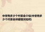 中堂有多少个村委会介绍(中堂有多少个村委会详细情况如何)