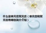 什么是单元音双元音（单元音和双元音有哪些简介介绍）