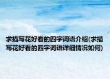 求描写花好看的四字词语介绍(求描写花好看的四字词语详细情况如何)