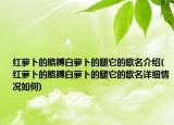 红萝卜的胳膊白萝卜的腿它的歌名介绍(红萝卜的胳膊白萝卜的腿它的歌名详细情况如何)