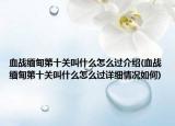 血战缅甸第十关叫什么怎么过介绍(血战缅甸第十关叫什么怎么过详细情况如何)