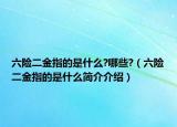 六险二金指的是什么?哪些?（六险二金指的是什么简介介绍）