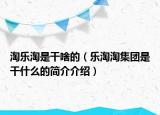 淘乐淘是干啥的（乐淘淘集团是干什么的简介介绍）