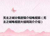 无主之城分集剧情介绍电视猫（无主之城电视剧大结局简介介绍）