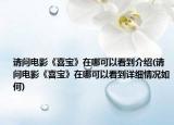 请问电影《喜宝》在哪可以看到介绍(请问电影《喜宝》在哪可以看到详细情况如何)