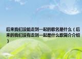 后来我们没能走到一起的歌名是什么（后来的我们没有走到一起是什么歌简介介绍）