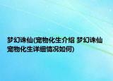 梦幻诛仙(宠物化生介绍 梦幻诛仙 宠物化生详细情况如何)