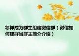 怎样成为群主组建微信群（微信如何建群当群主简介介绍）