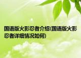 国语版火影忍者介绍(国语版火影忍者详细情况如何)