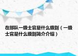 在部队一级士官是什么级别（一级士官是什么级别简介介绍）