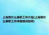 上海有什么兼职工作介绍(上海有什么兼职工作详细情况如何)