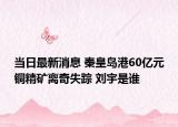 当日最新消息 秦皇岛港60亿元铜精矿离奇失踪 刘宇是谁