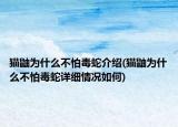 猫鼬为什么不怕毒蛇介绍(猫鼬为什么不怕毒蛇详细情况如何)