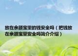 放在余额宝里的钱安全吗（把钱放在余额宝里安全吗简介介绍）