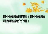 职业技能培训百科（职业技能培训有哪些简介介绍）