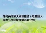 如何关闭放大镜快捷键（电脑放大镜怎么关闭快捷键简介介绍）