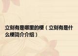 立刻有是哪里的梗（立刻有是什么梗简介介绍）