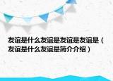 友谊是什么友谊是友谊是友谊是（友谊是什么友谊是简介介绍）