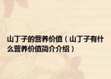 山丁子的营养价值（山丁子有什么营养价值简介介绍）