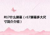 R17什么屏幕（r17屏幕多大尺寸简介介绍）