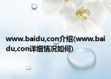 www.baidu,con介绍(www.baidu,con详细情况如何)