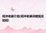 何冲老婆介绍(何冲老婆详细情况如何)
