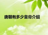 唐朝有多少皇帝介绍