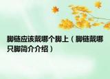 脚链应该戴哪个脚上（脚链戴哪只脚简介介绍）