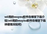 wii用的wuyou软件在哪里下载介绍(wii用的wuyou软件在哪里下载详细情况如何)