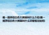 唯一圈养棕白色大熊猫叫什么介绍(唯一圈养棕白色大熊猫叫什么详细情况如何)