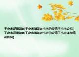 王小米是谁演的王小米扮演者小米的爱情王小米介绍(王小米是谁演的王小米扮演者小米的爱情王小米详细情况如何)