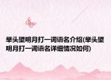 举头望明月打一词语名介绍(举头望明月打一词语名详细情况如何)