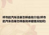 呼市的汽车违章怎样查询介绍(呼市的汽车违章怎样查询详细情况如何)