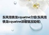东风雪铁龙cquatne介绍(东风雪铁龙cquatne详细情况如何)