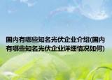 国内有哪些知名光伏企业介绍(国内有哪些知名光伏企业详细情况如何)