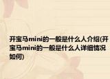 开宝马mini的一般是什么人介绍(开宝马mini的一般是什么人详细情况如何)