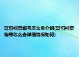 驾照档案编号怎么查介绍(驾照档案编号怎么查详细情况如何)