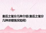 皇后之玺分几种介绍(皇后之玺分几种详细情况如何)