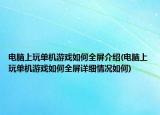 电脑上玩单机游戏如何全屏介绍(电脑上玩单机游戏如何全屏详细情况如何)