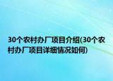 30个农村办厂项目介绍(30个农村办厂项目详细情况如何)