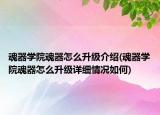 魂器学院魂器怎么升级介绍(魂器学院魂器怎么升级详细情况如何)