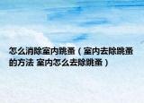 怎么消除室内跳蚤（室内去除跳蚤的方法 室内怎么去除跳蚤）