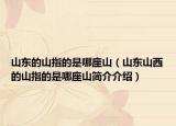 山东的山指的是哪座山（山东山西的山指的是哪座山简介介绍）