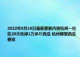 2022年8月16日最新更新内容杭州一社区20天吃掉1万多斤西瓜 杭州哪里西瓜便宜