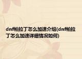 dnf帕拉丁怎么加速介绍(dnf帕拉丁怎么加速详细情况如何)