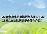 2019年出生男女比例各占多少（2019男女出生比例是多少简介介绍）